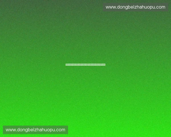 打造潮流与性能并存的体育品牌新纪元，引领运动生活方式革新